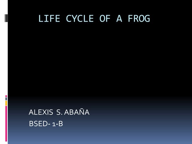 Life Cycle Of A Frog