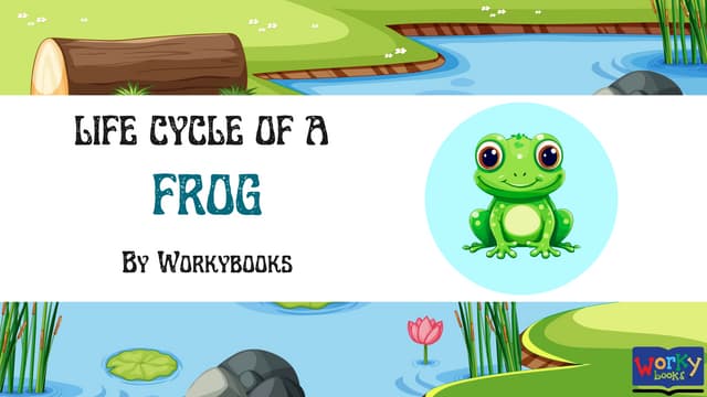 Explore the Life Cycle of a Frog | Workybooks