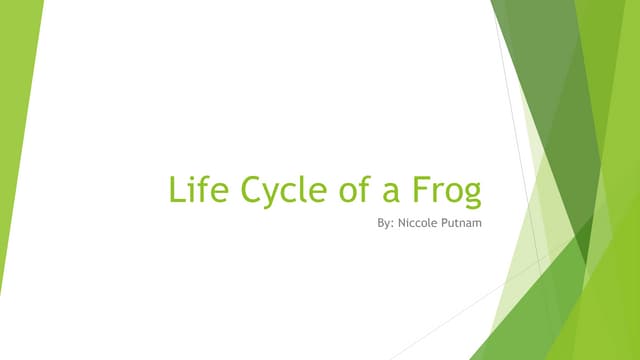 Life cycle of a frog bad example