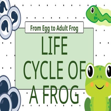 The Life cycle of frog | PPT