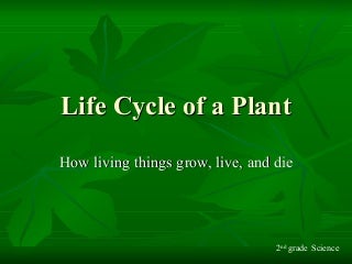 'life cycle of a plant' on SlideShare