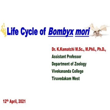 Life Cycle of Bombyx mori.pptx