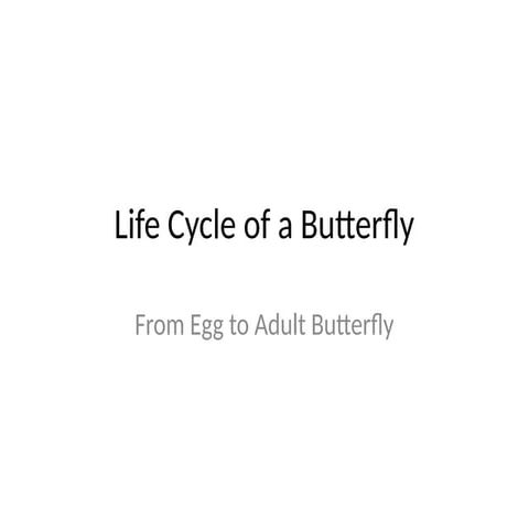 Life_Cycle_of_Butterfly.pptxlolllllllllllllllllllllllllllllll