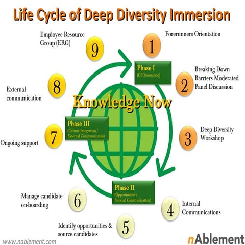 Life cycle of deep diversity immersion