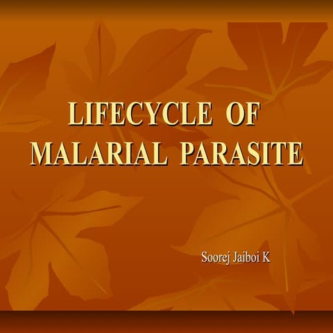 Lifecycle  of  malarial  parasite 