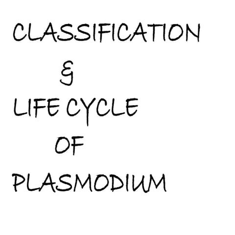 Life cycle of plasmodium