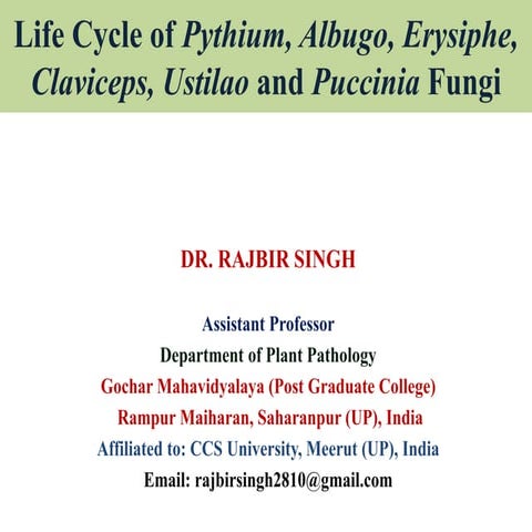 Life cycle of Pythium, Albugo, Erysiphe, Claviceps, Ustilao and Puccinia fungi