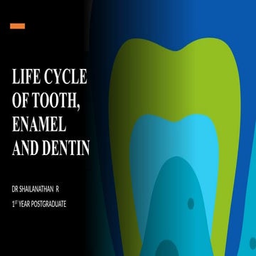 LIFE CYCLE OF TOOTH, ENAMEL AND DENTIN .pptx