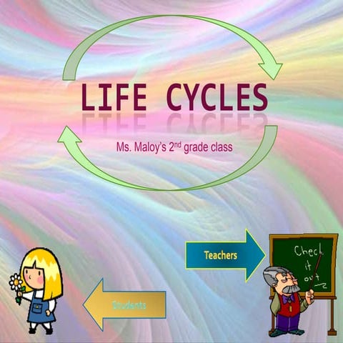 Life cycles