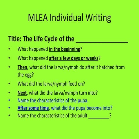 Lifecycles indv writing