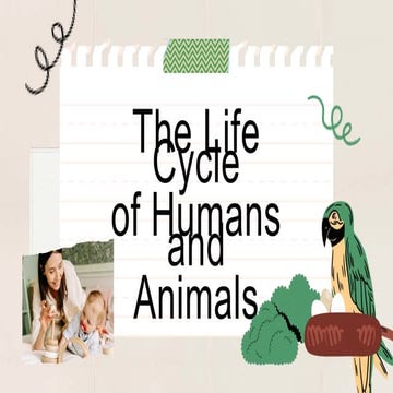 Life Cycles of Humans and Animals Presentation.pptx