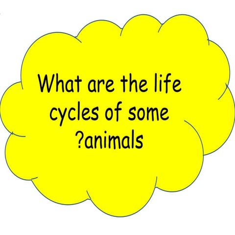 Life cycles of some animals