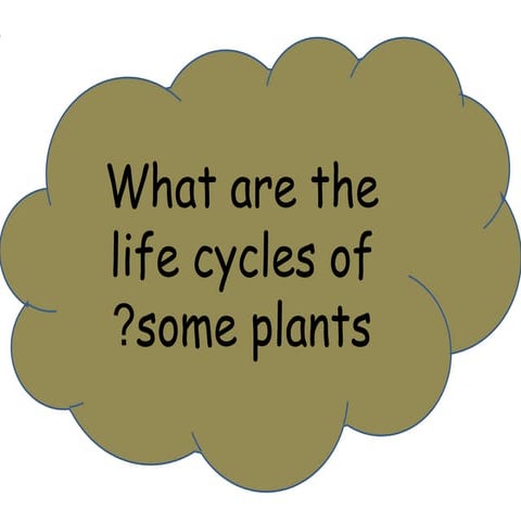 Life cycles of some plants