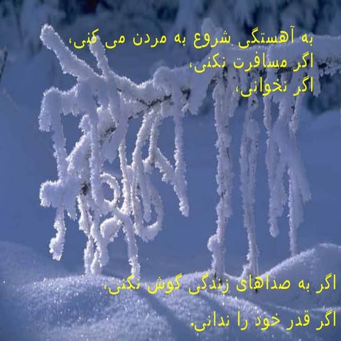 فراموش نکن که شاد باشی 