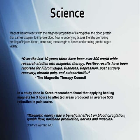 Life Force Magnetic Healing Marketing Plan