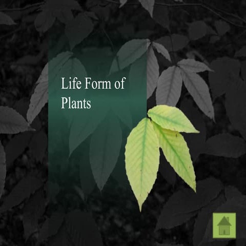 Life form of plants