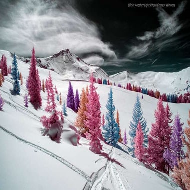 Life in Another Light Photo Contest: Winners