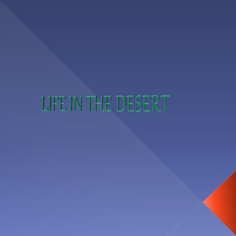 Life in the desert