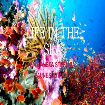LIFE IN THE SEA