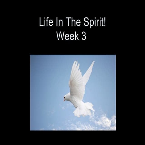 Life in the Spirit 03