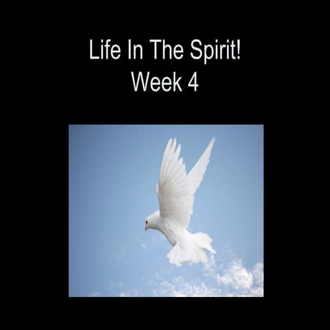 Life in the Spirit 04