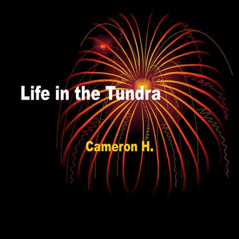Life In The Tundra Hoinke