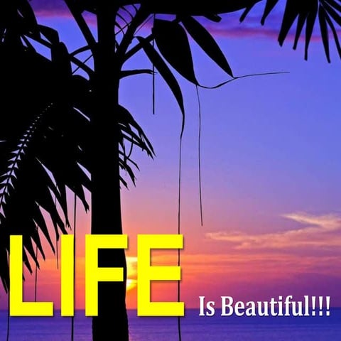 Life is beautiful