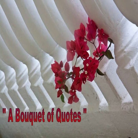 Bouquet of Quotes