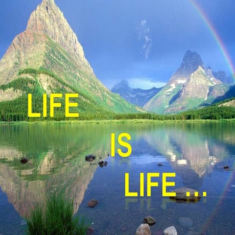 Life Is Life...