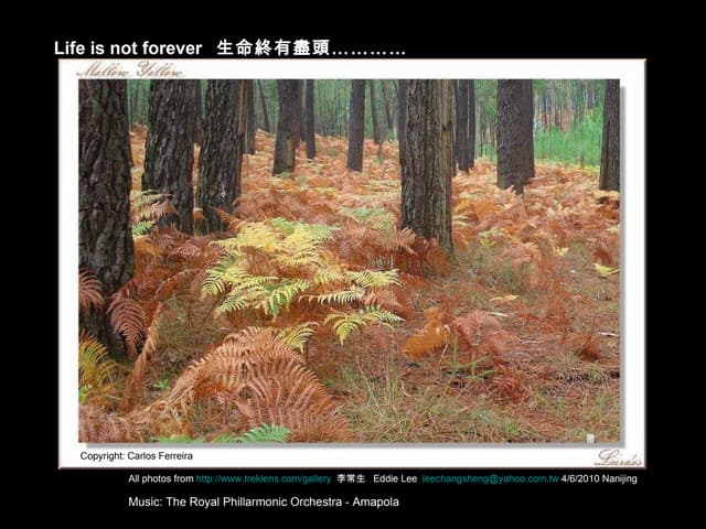 Life Is Not Forever 生命終有盡頭