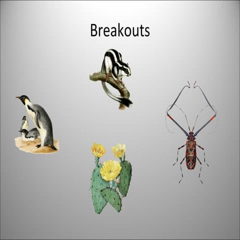 Life & Literature Future Framing for BHL