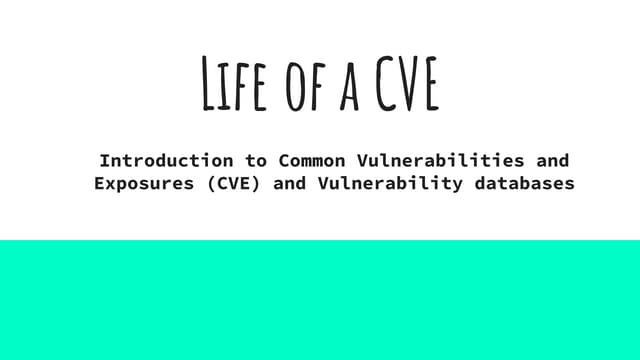 Life of a CVE