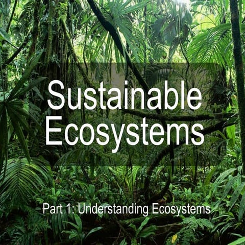 Life On Planet Earth