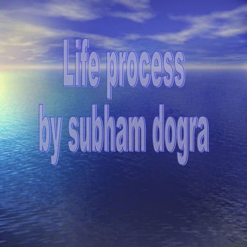 Life process | PPT