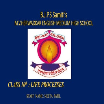 LIFE PROCESS.pptx