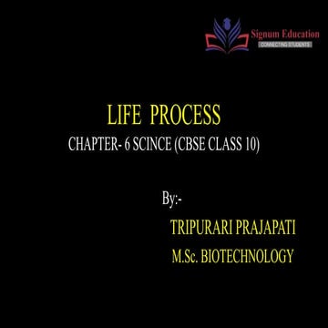 LIFE PROCESS.pptx