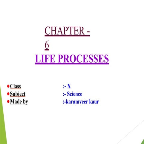 life proces class th  biology all topics