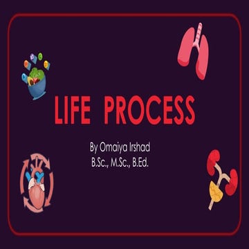 Living Systems Unveiled: Simplified Life Processes for Exam Success