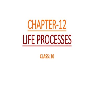 Life process 2