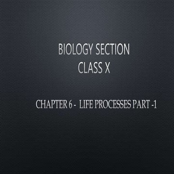 LIFE PROCESSES -1.pptx