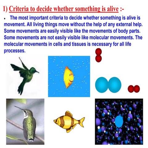 Life processes an attractive p.pt