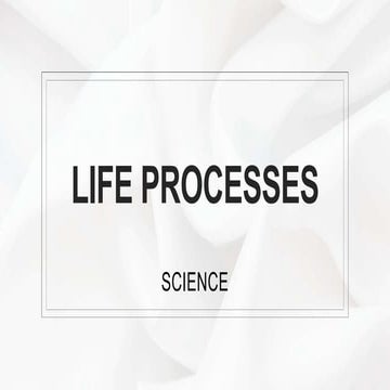 Life processes | PPTX
