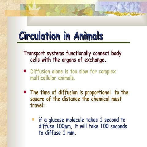 Life processes - circulation_87058.ppt23