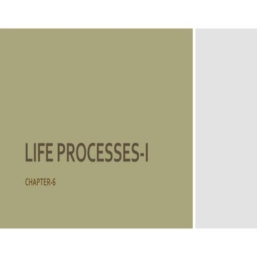 Life processes-I | PPTX