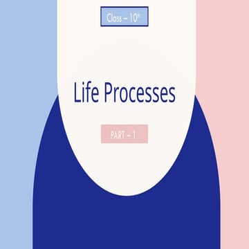 Life Processes - Nutrition IN ANIMALS AND PLANTS