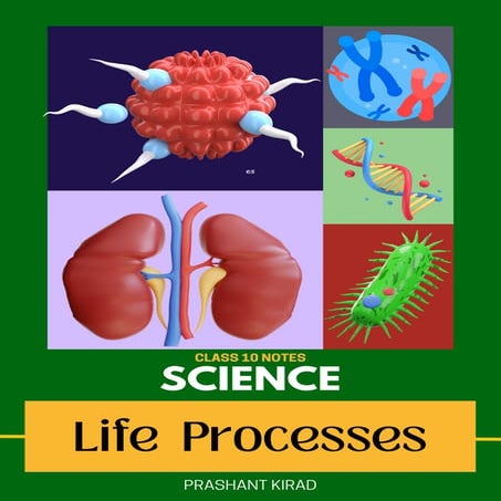 Class 10 Life processes - chapter 1 notes | PDF