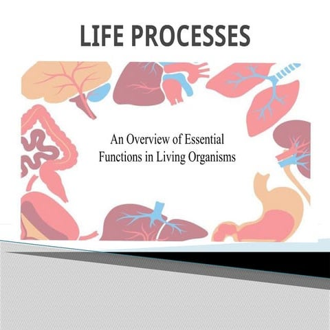 LIFE PROCESSES (05.04.2025).pptx for sslc