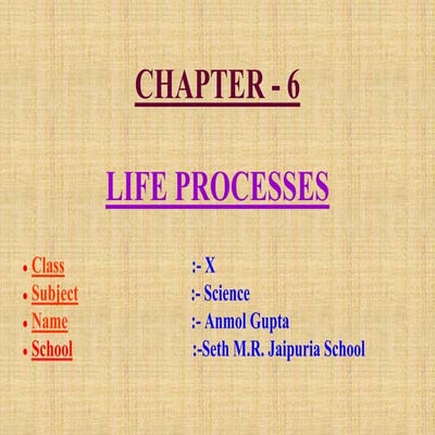 LIFE PROCESSES10.pptx