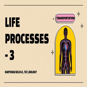 LIFE PROCESSES - PART 3 - TRANSPORTATION.pdf