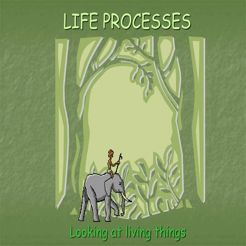 Life Processes Class 10 ppt